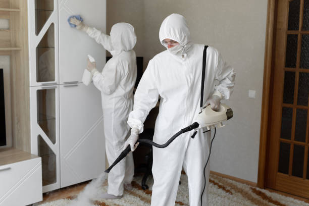 Affordable Sewage Cleanup solutions in Gill, CO
